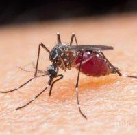 УНИКАЛНО! Откриха таблетката, която убива комарите
