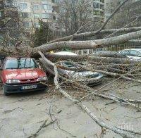 Ураганен вятър 