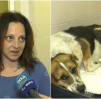 Ето какво се случва с кучето Мими, на която изрод отряза лапите (СНИМКИ 18+)