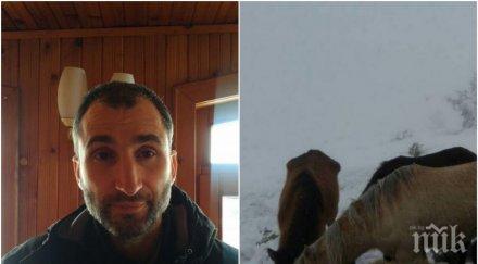 потрес собственикът мъртвите коне осоговския балкан прибрал близо 260 бона субсидии