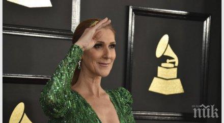 селин дион чукна