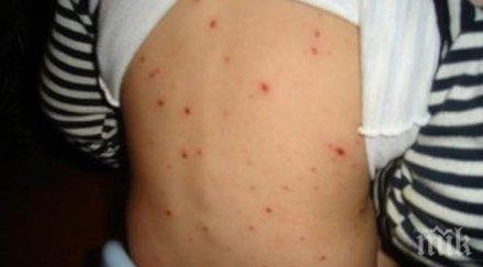 внимание бум шарка варна