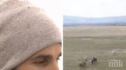 агенцията храните проверява обекти отглеждат коне