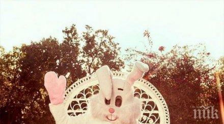 великденското зайче напляска майли сайръс снимки