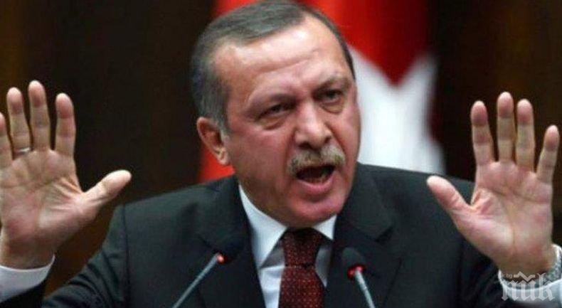 Над 1 000  турски дипломати и чиновници са кандидатствали за убежище в Германия