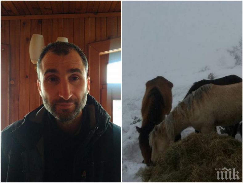 ПОТРЕС! Собственикът на мъртвите коне в Осоговския балкан прибрал близо 260 бона от субсидии