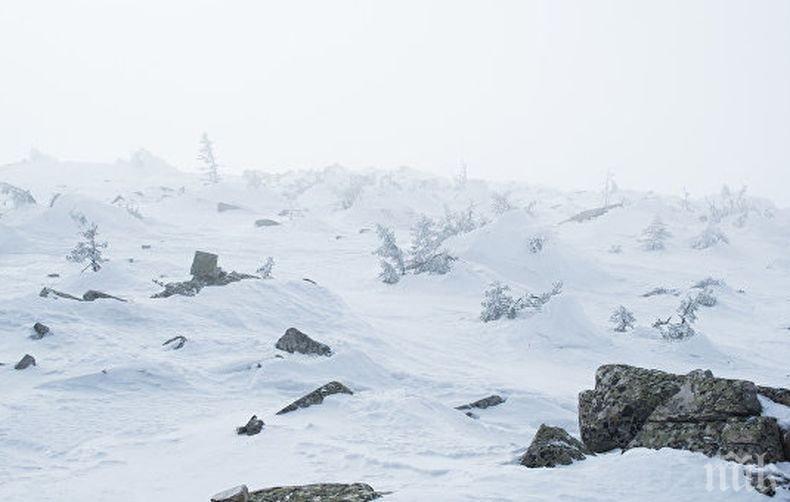 Трима загинали след паднала лавина в Швейцария