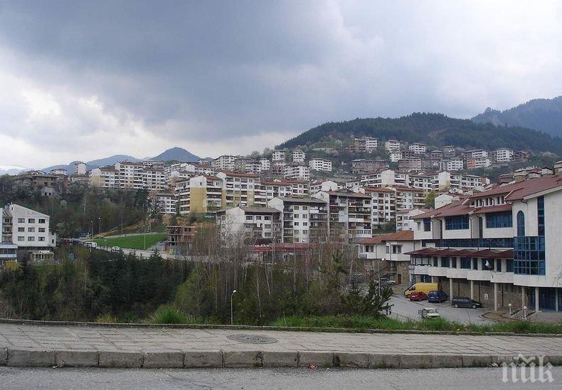 Смолян отбелязва Седмицата на гората с връчване на приза „Лесовъд на годината“