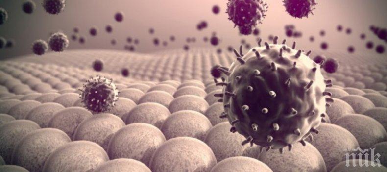 РЕВОЛЮЦИЯ! Нова терапия срещу рака  