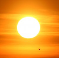 Жега! Температурите в Ново село счупиха 54-годишен рекорд