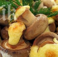 Холивудските знаменитости луднаха по гъбена диета