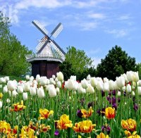 Холандия отваря трудовия си пазар за българи догодина