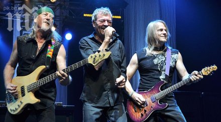 дийп пърпъл поискаха сортират боклука коцерта каварна