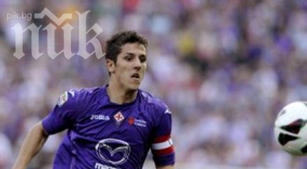 арсенал предложи млн евро фиорентина стеван йоветич