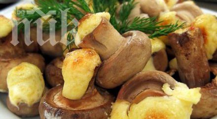 холивудските знаменитости луднаха гъбена диета