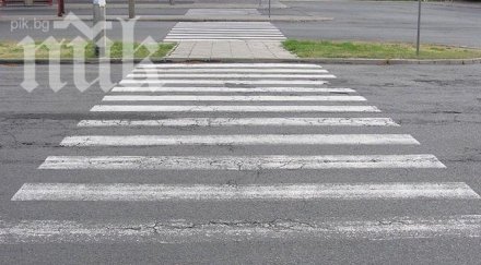 шофьор премаза годишно момиче зебра