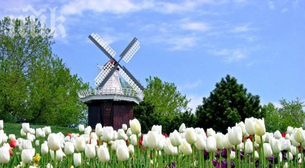 холандия отваря трудовия пазар българи догодина