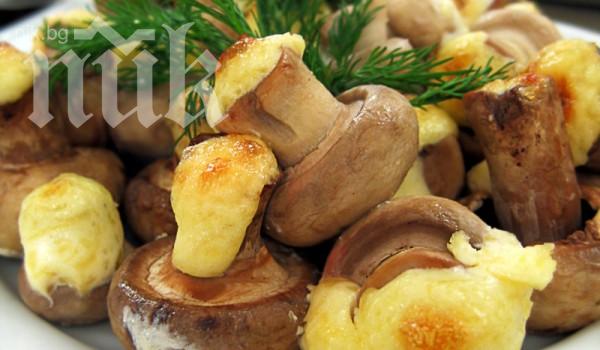 Холивудските знаменитости луднаха по гъбена диета