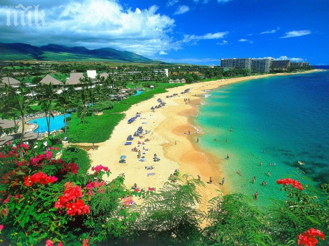 Хавайските острови представиха собствена валута - Информационна агенция ПИК