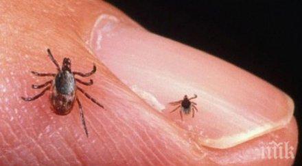 кърлежите атакуват пазете