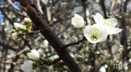 време очаква великден