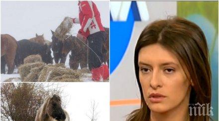 първо лице разказ ужаса изоставените коне осоговската планина