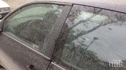 сахарски пясък отново покри колите пловдив