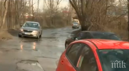 пълен абсурд коли превръщат амфибии софия снимки