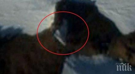 мистерия нло кръжи софия варна година