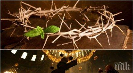 петият ден страстната седмица разпети петък никакъв случай правете