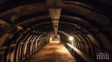 фирма търси злато странджа