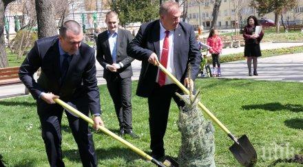 горски директори цяла европа садят дръвчета рила
