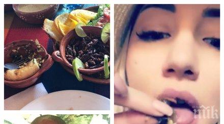 малкото коте валери божинов гълта червеи мексико