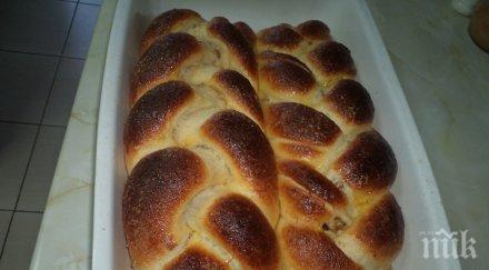 опакован козунак мухъл заля кипър