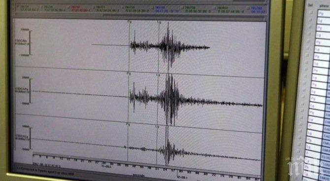 Засякоха лек трус край Разлог