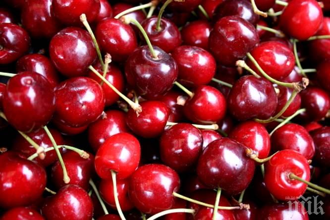Цената на БГ черешите падна 7 пъти
