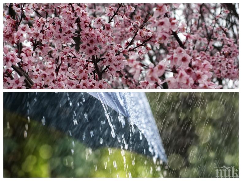 Синоптиците вещаят ветровита събота, над Родопите ще вилнеят дъждове и гръмотевици