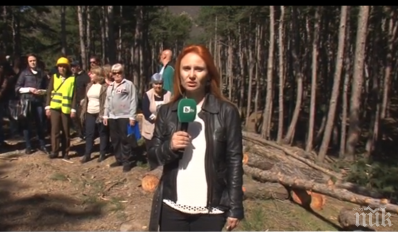 СКАНДАЛ! Масова сеч в 120-годишна гора край Сопот