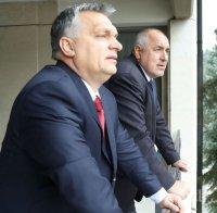 ПЪРВО В ПИК! Бойко Борисов поздрави Орбан за безапелационната победа на изборите