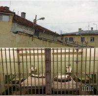 Бунт в затвора в Пловдив: Пандизчии заливат съда с дела за нечовешки условия