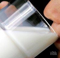 Спипаха 1600 литра лошо гръцко мляко у нас, правят го на сирене
