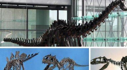 търг каква сума бяха продадени два скелета динозаври