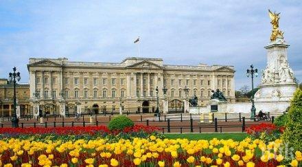 извънредно отцепиха бъкингамския дворец заради подозрителен ван