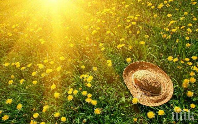 ЖЕГА! Този март е третият най-топъл в историята на метеорологията