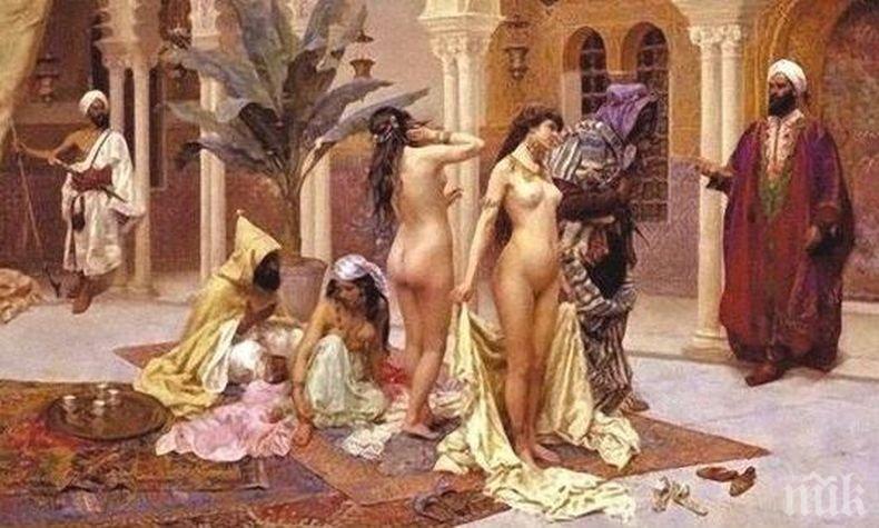 Предлагат на търг книга, описваща секс оргиите в Османската империя