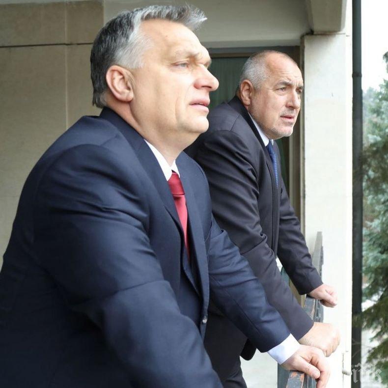 ПЪРВО В ПИК! Бойко Борисов поздрави Орбан за безапелационната победа на изборите