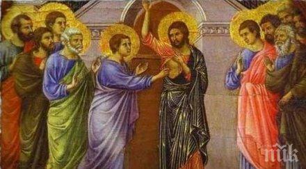 томина неделя позволено правим