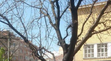 инцидент пожар вилня училище центъра софия видео снимки