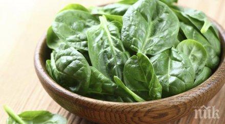 четири зелени супер храни