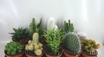 важно държите дома